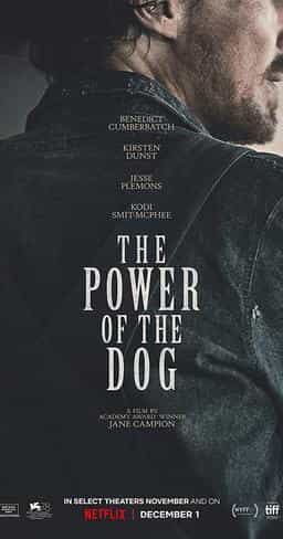 THE POWER OF THE DOG
