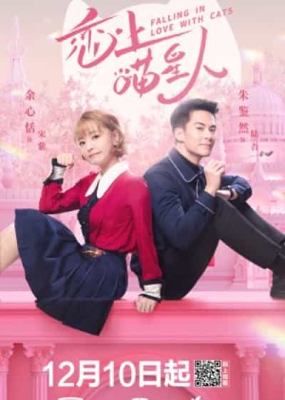 Yêu Phải Nàng Meo Tinh